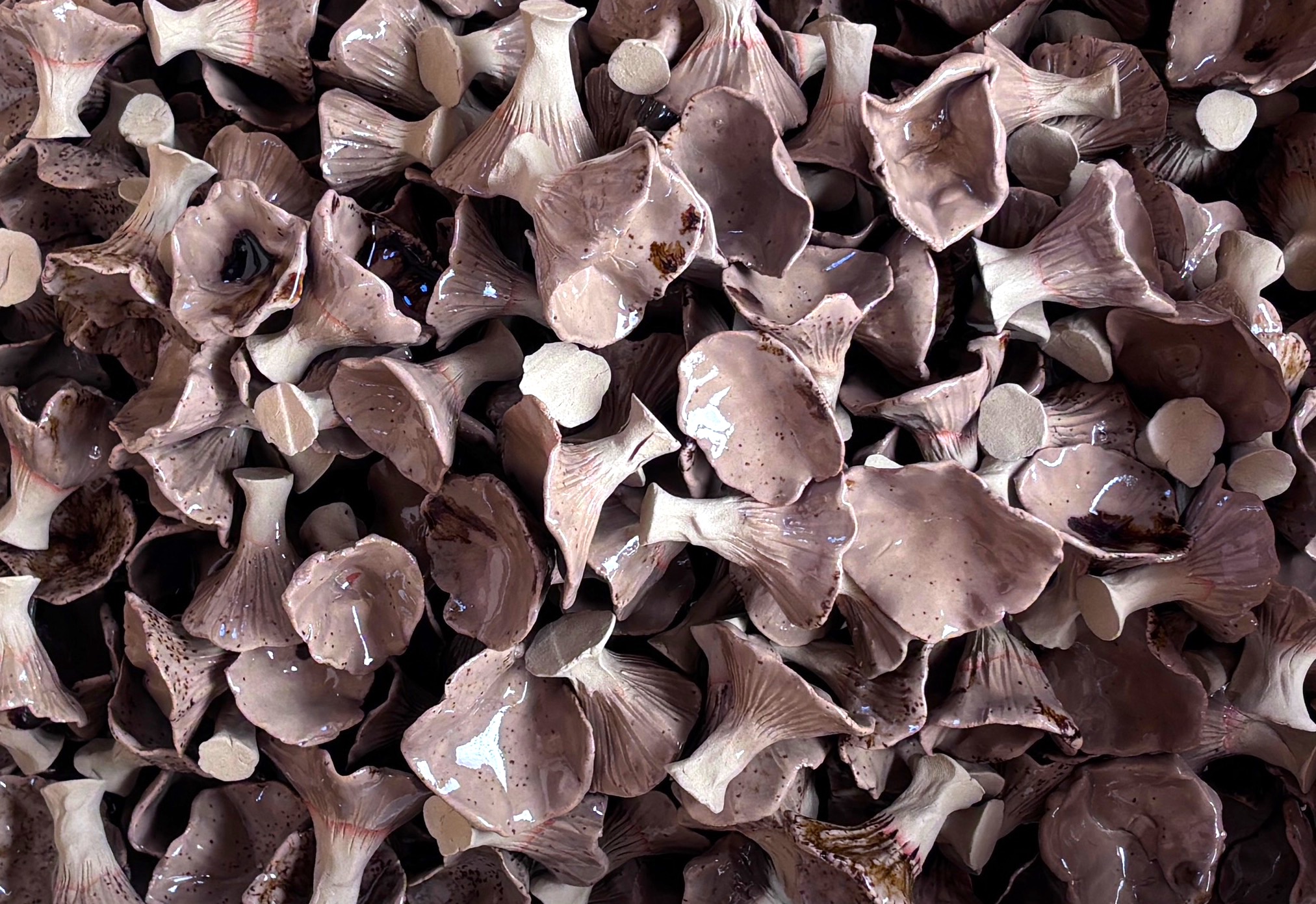 gros plan sur les chanterelles en cérmique