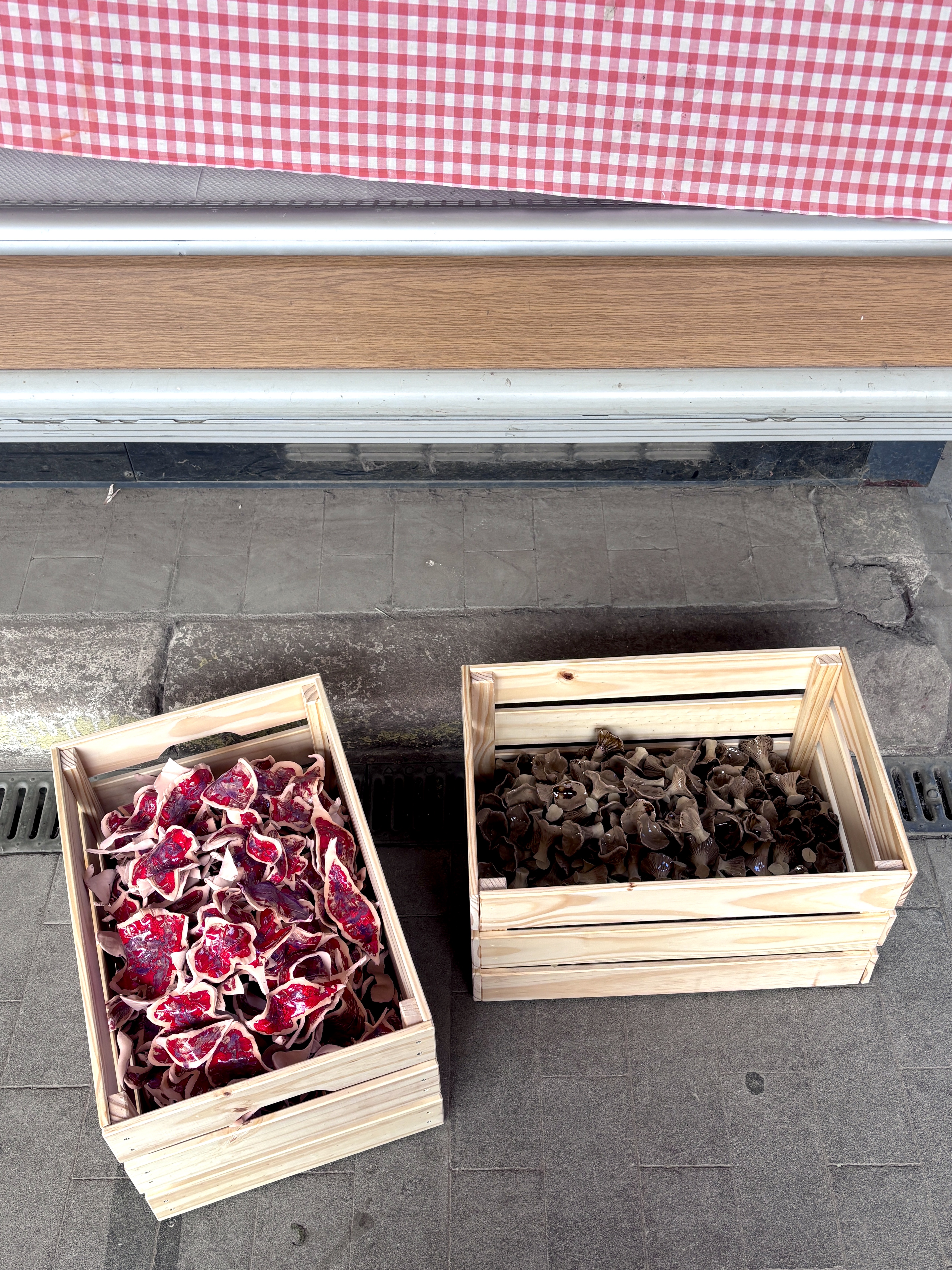 deux cagettes sont posées au sol devant un frigo de marché recouvert d'un tissu à carreaux rouge. Dans une des cagettes il y a les feuilles en céramique, dans l'autre les chanterelles