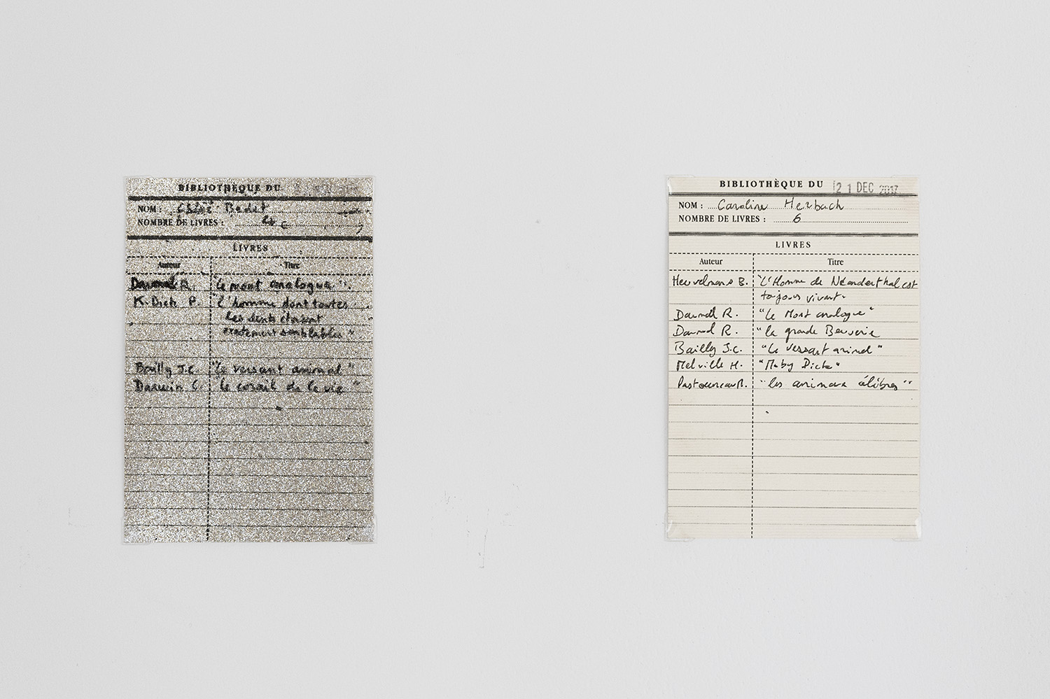 Deux fiches de bibliothèques sont accrochées au mur. Une pailleté doré froid et une blanche nacrée. On voit le noms des lecteurs : Chloé Bedet et Caroline Herbach qui ont lu respectivement 4 et 6 livres. Au-dessous il y a la liste des livres qui n'est pas la même mis à part le Versant Animal qui revient.