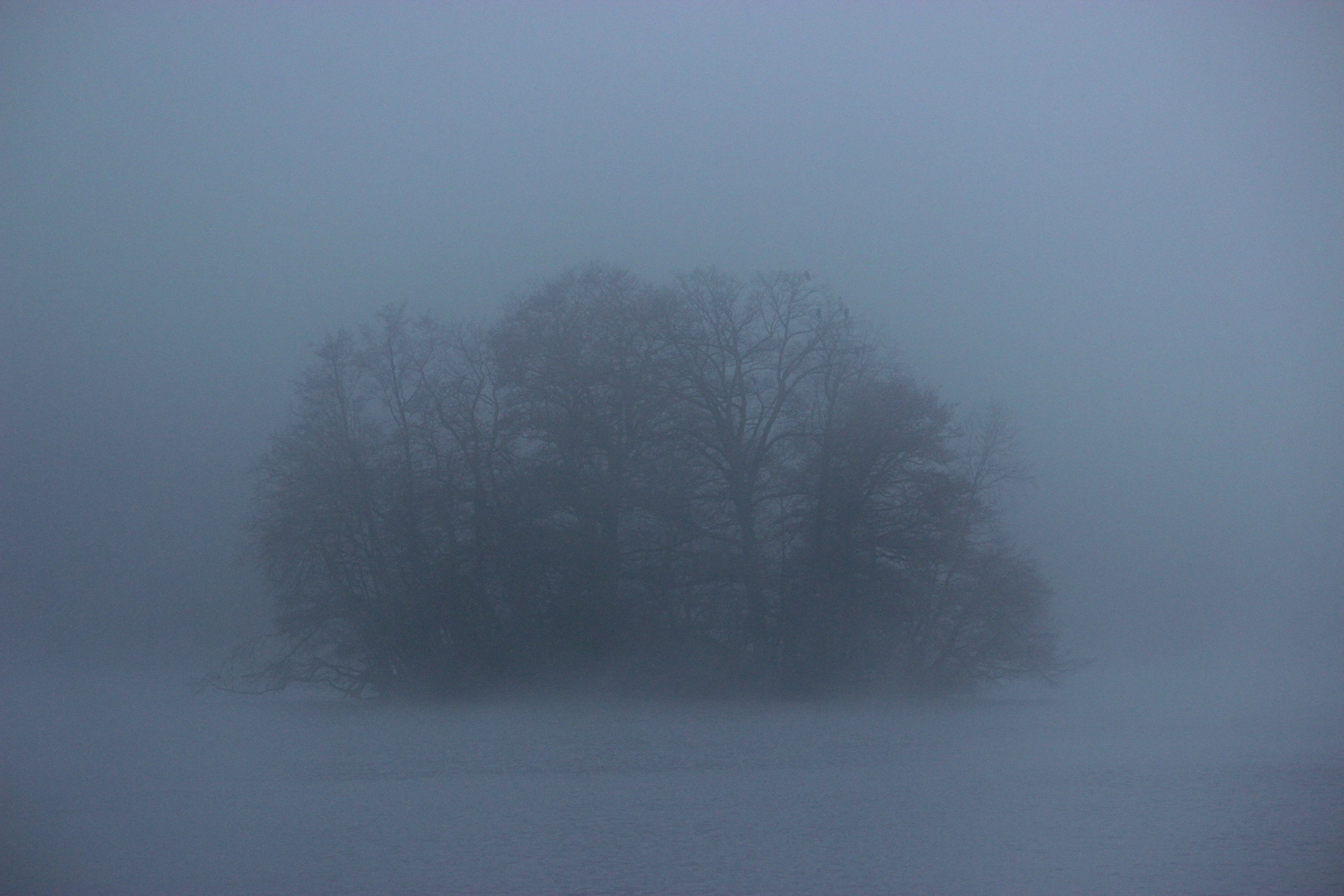 D'après les peinture des Bocklin, les îles des morts, photographie d'une île au milieu d'un lac dans la brume du matin.