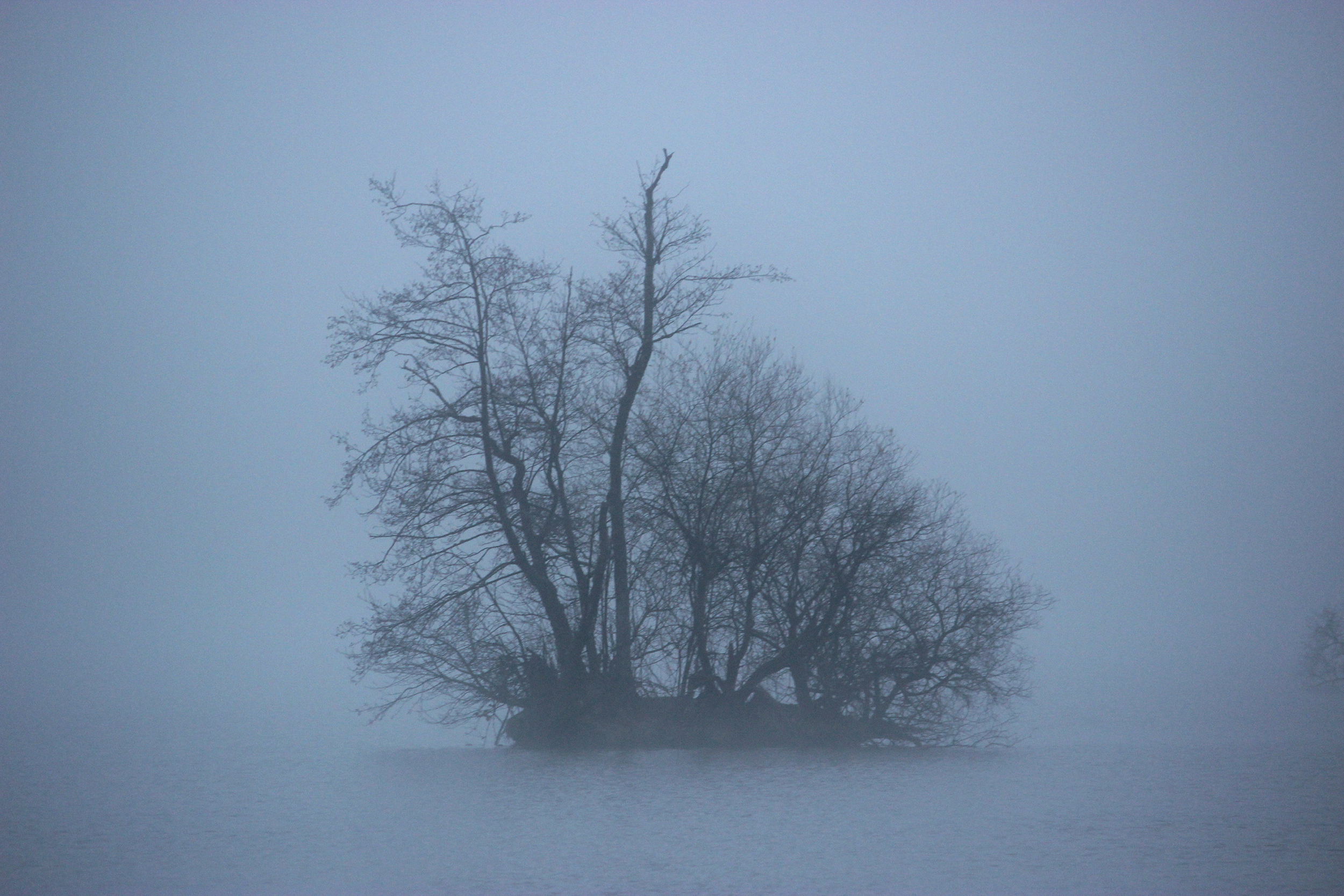 D'après les peinture des Bocklin, les îles des morts, photographie d'une île au milieu d'un lac dans la brume du matin.