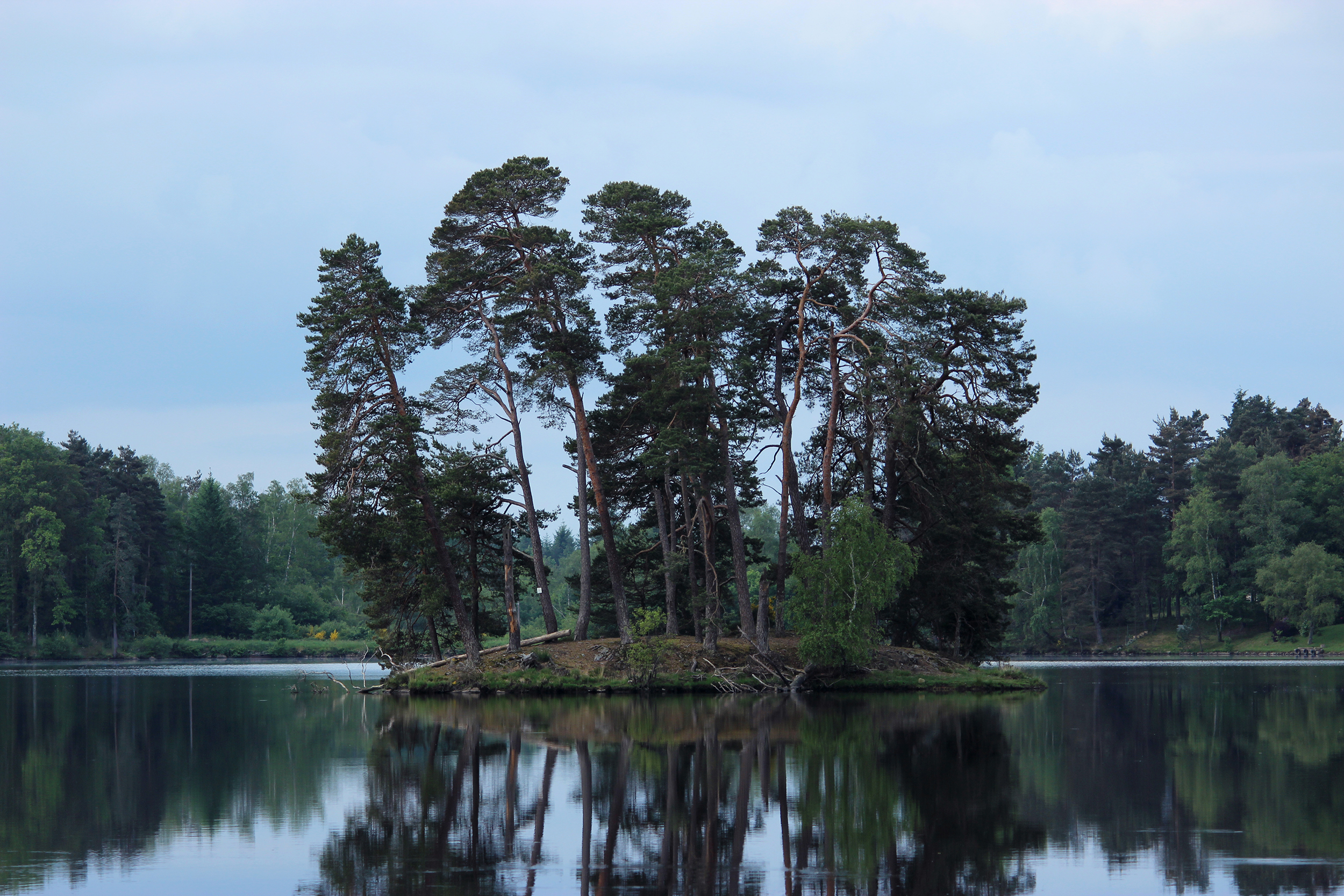 D'après les peinture des Bocklin, les îles des morts, photographie d'une île au milieu d'un lac. Le ciel est bleu et l'eau est calme.