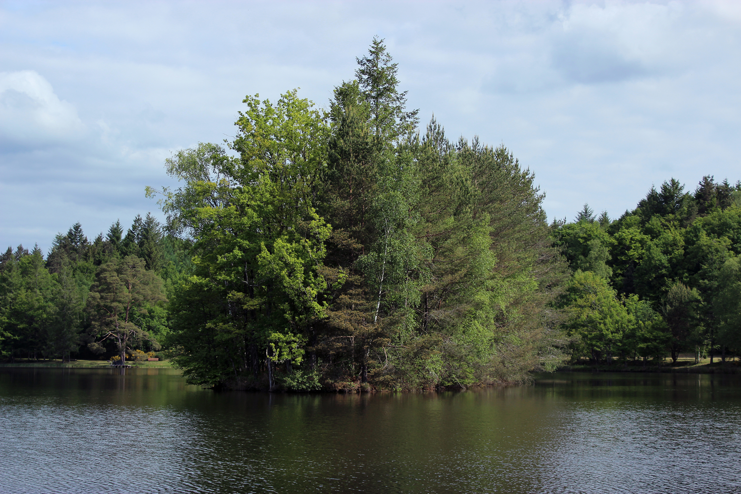 D'après les peinture des Bocklin, les îles des morts, photographie d'une île au milieu d'un lac. Le ciel est bleu et l'eau frémis.
