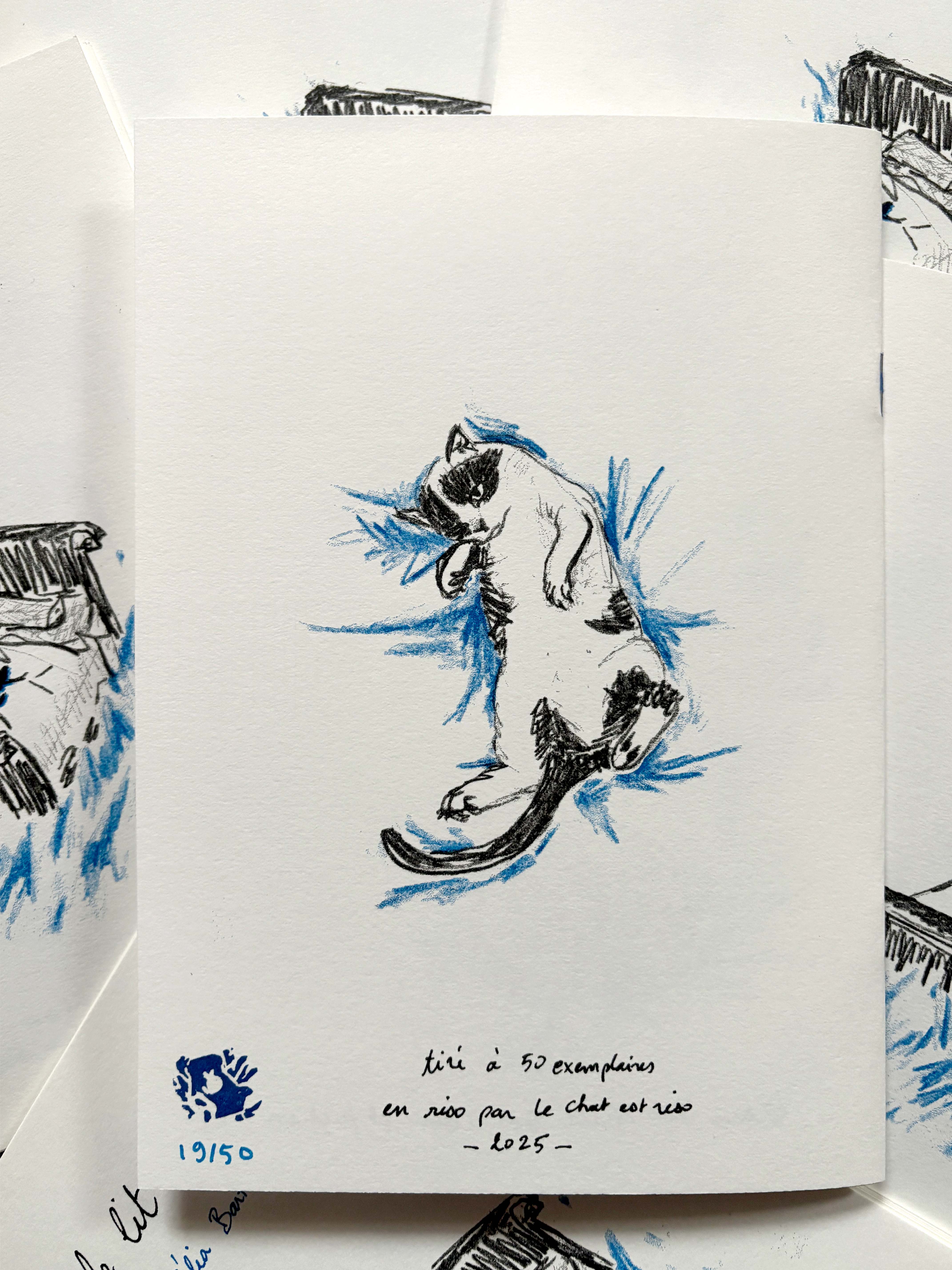 4ème de couverture de la BD représentant un chat sur le dos.