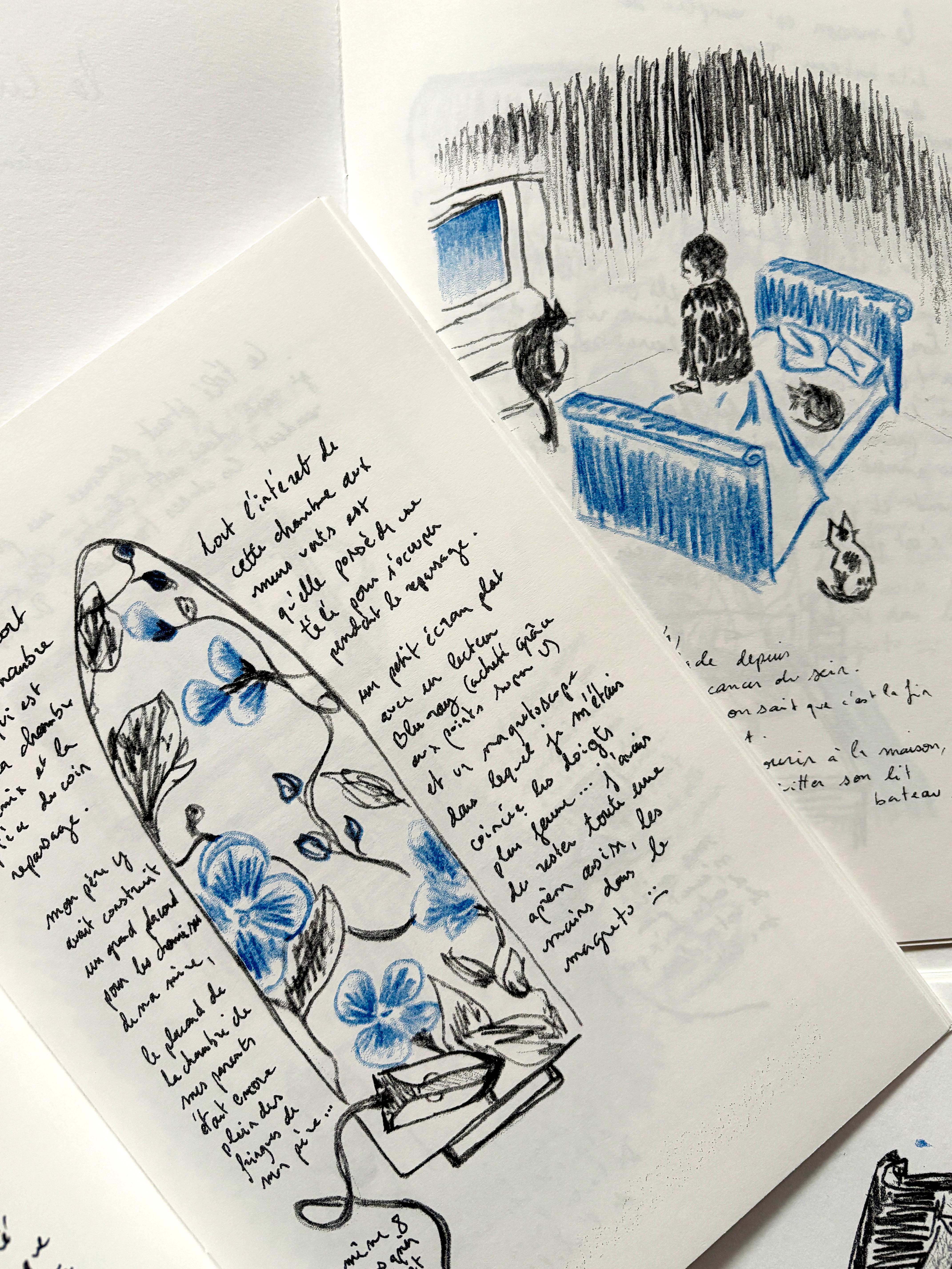 2 pages de la BD qui représentent une plache a repasser à fleur et une femme assise de dos sur un lit entourée de chats.