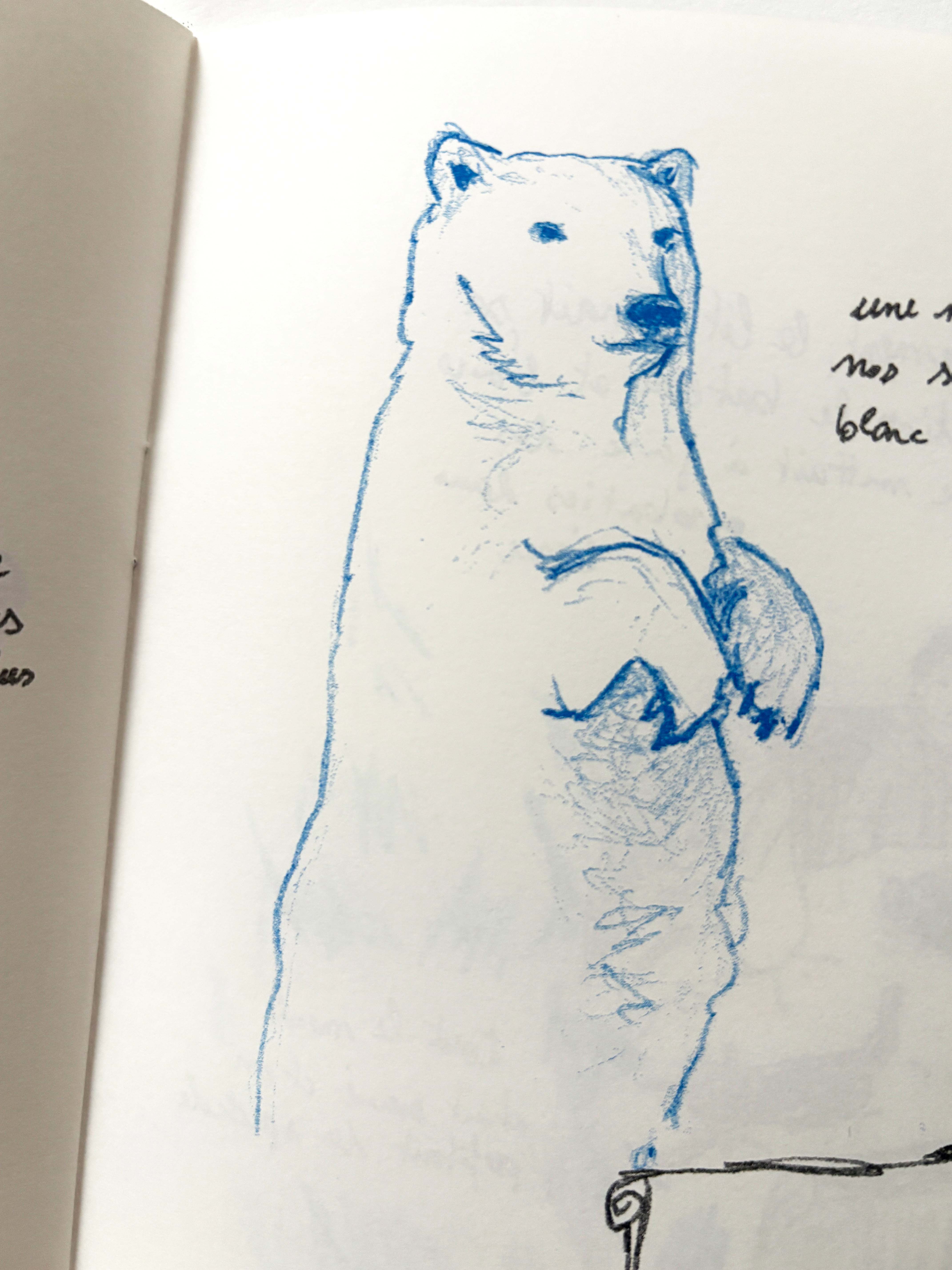 dessin d'un ours.