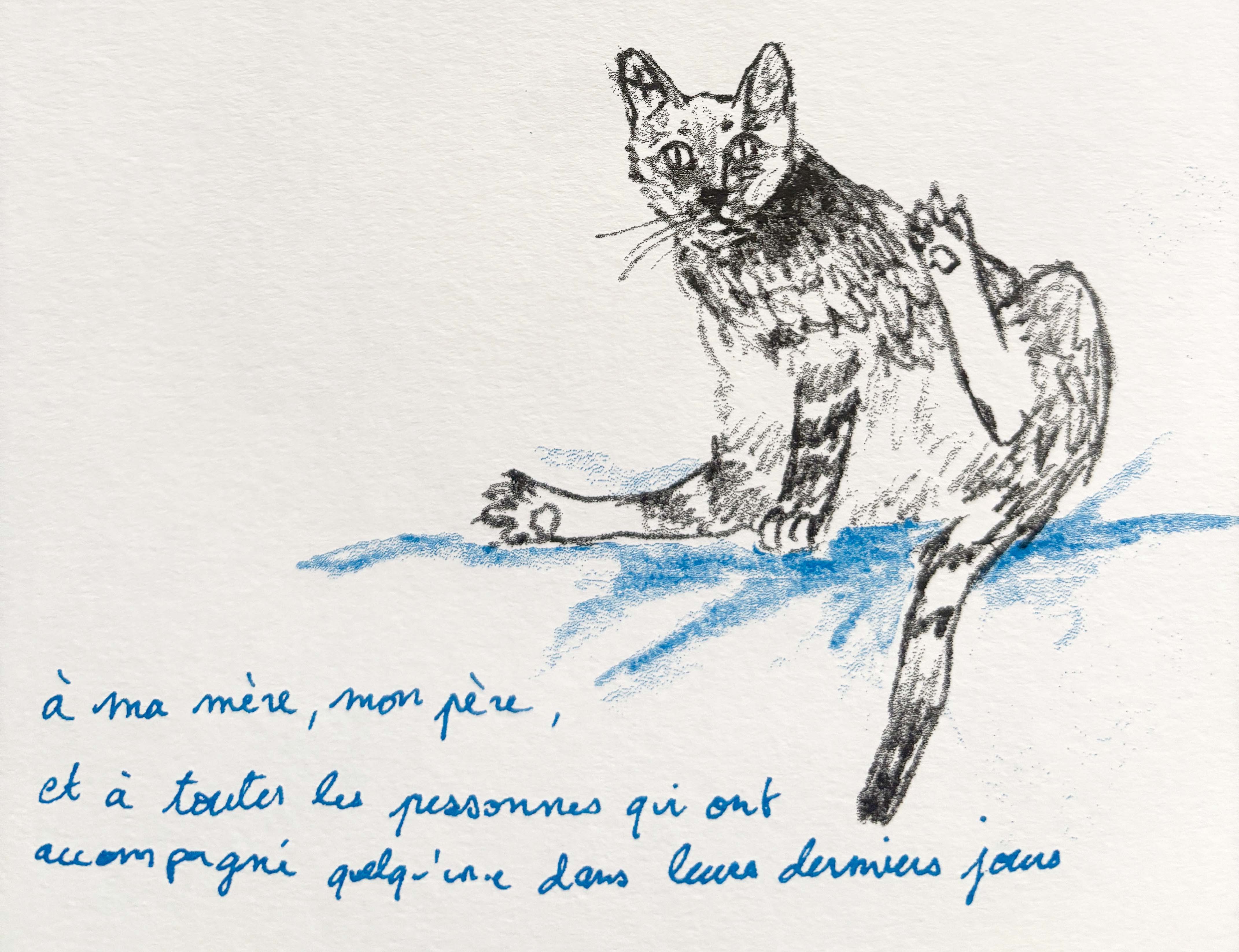 1 chat assis avec tu texte qui dit à ma mère, à mon père et à toutes les personnes qui ont accompagné quelqu'un·e dans leurs derniers jours