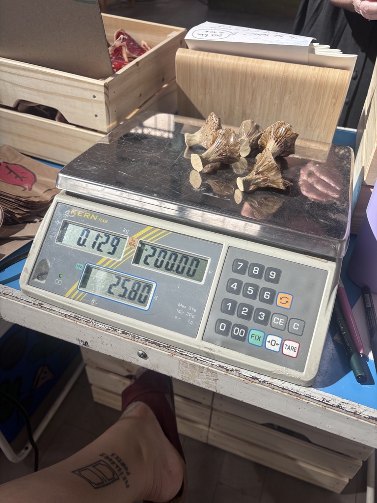 quelques chanterelles en céramiques sont posées sur une balance qui affiche 200€ de kilo, 125g de chanterelles donc u total de 25,8€.