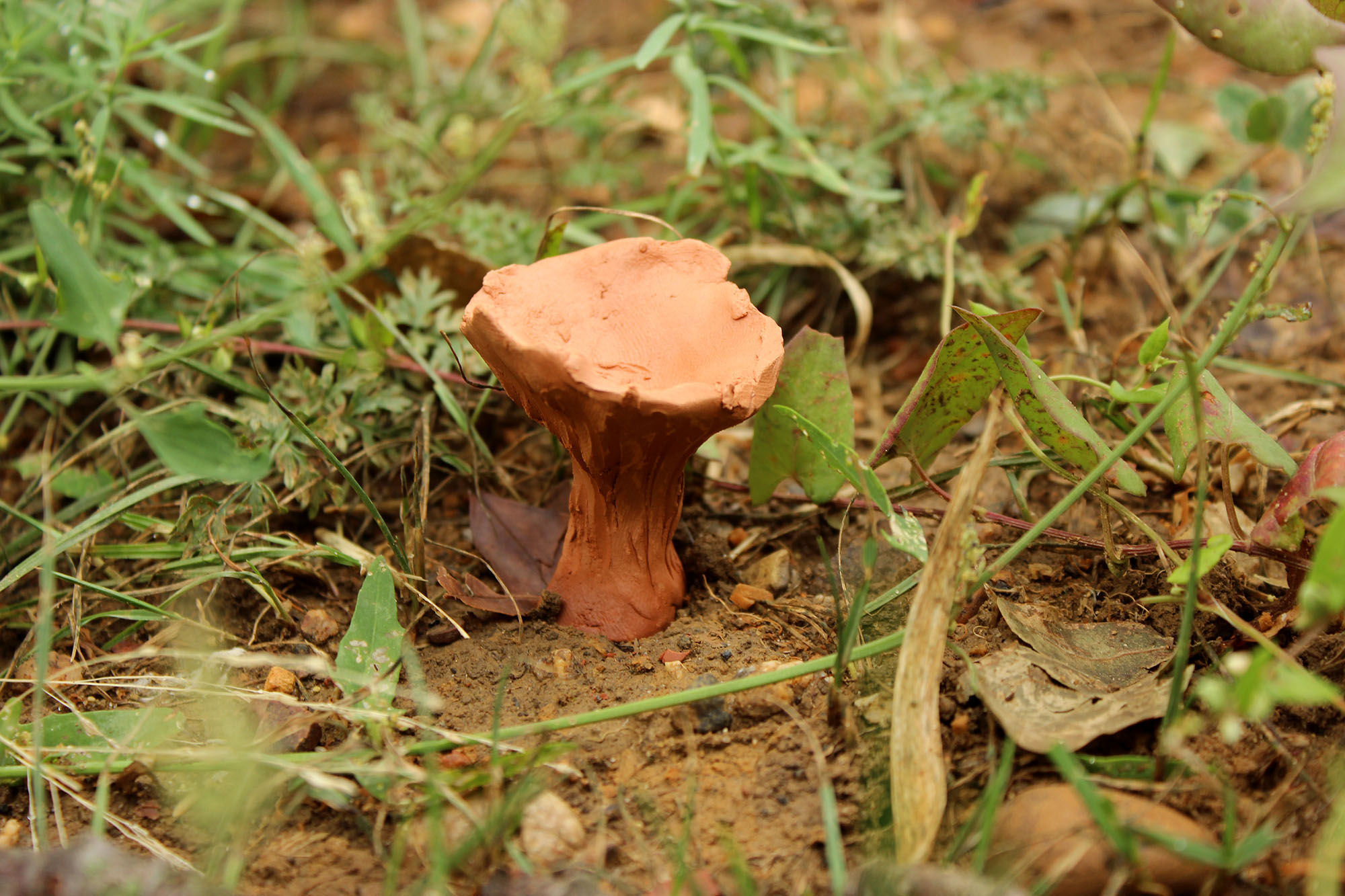 gros plan sur une scupture de chanterelle en terre crue rouge dans l'herbe.
